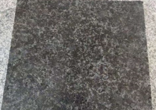 芝麻黑 芝麻黑